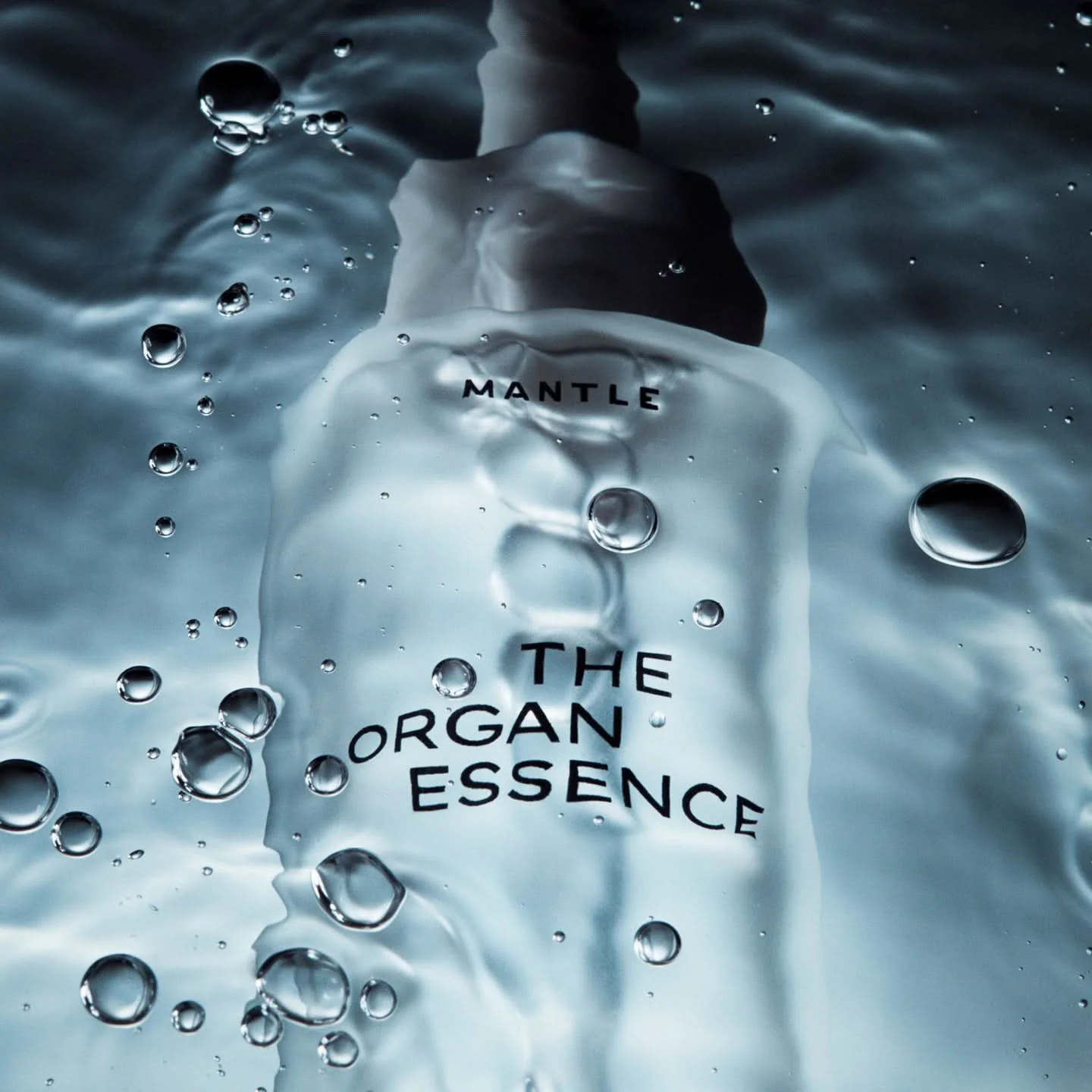 The Organ Essence - Image 4
